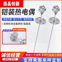  K型铠装热电偶 WRNK-131 、耐高温、热响应时间快温度传感器探头