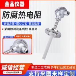 防腐热电阻 温度传感器WZP-430F 用于石油化工各种腐蚀性介质中测 长度 300mm