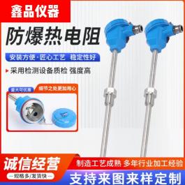 防爆热电阻 一体化温度传感器 WZP-240 WZP-440 防爆接线盒 BT4